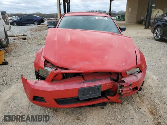 2010 Ford Mustang V6 with VIN 1ZVBP8AN3A5144656, listed as a Copart auction lot 49659225 with 217,327 mi miles and Salvage Title. Bid and sale history available at DreamBid. Image 5.