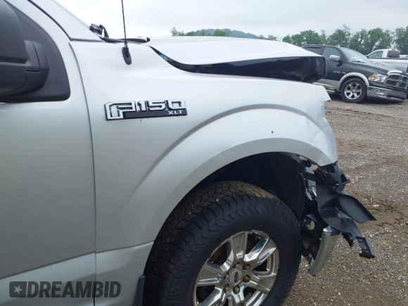 2017 Ford F-150 XL z VIN 1FTFX1EF1HFC58108, wystawiony jako IAAI lot #41961860 z przebiegiem 156 002 mil mil oraz . Historia ofert i sprzedaży dostępna na DreamBid. Obrazek 18.