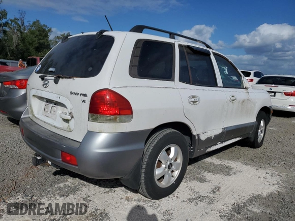 2005 Hyundai Santa Fe GLS with VIN KM8SC13D95U868823, listed as a Copart auction lot 80675094 with 0 mi miles and Salvage Title. Bid and sale history available at carsss.com. Image 3.