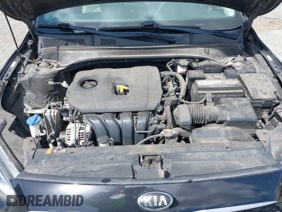 2019 Kia Forte LXS with VIN 3KPF24AD7KE068190, listed as a IAAI auction lot 41954665 with 105,356 mi miles and . Bid and sale history available at carsss.com. Image 10.