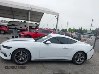 2024 Ford Mustang EcoBoost z VIN 1FA6P8TH3R5109662, wystawiony jako IAAI lot #42164383 z przebiegiem 3 336 mil mil oraz . Historia ofert i sprzedaży dostępna na DreamBid. Obrazek 14.