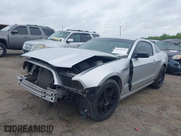 2013 Ford Mustang V6 with VIN 1ZVBP8AM1D5280893, listed as a IAAI auction lot 41951527 with 43,623 mi miles. Bid and sale history available at carsss.com. Image 2.