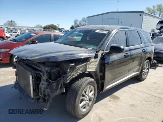 2020 Hyundai Palisade SE с VIN KM8R14HE8LU052304, выставлен на аукционе Copart как лот 48200275 с пробегом 111 833 миль миль и Списание • Salvage title. История ставок и продаж доступна на DreamBid. Изображение 1.