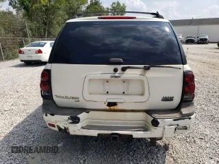 2006 Chevrolet TrailBlazer LS with VIN 1GNDT13S362357608, listed as a Copart auction lot 68828434 with 173,608 mi miles and Salvage Title. Bid and sale history available at DreamBid. Image 6.