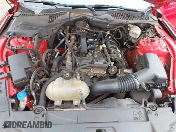 2021 Ford Mustang EcoBoost with VIN 1FA6P8TH0M5115847, listed as a IAAI auction lot 42221654 with 37,048 mi miles and . Bid and sale history available at DreamBid. Image 10.