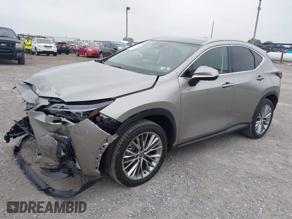2025 Lexus NX 350 Luxury with VIN 2T2HGCEZ0SC062106, listed as a IAAI auction lot 42604940 with 3,775 mi miles and . Bid and sale history available at DreamBid. Image 17.