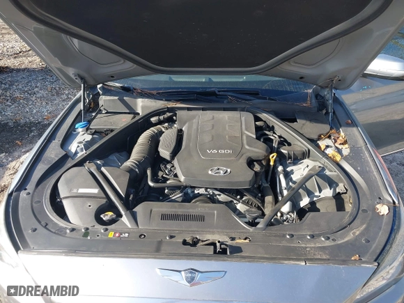 2016 Hyundai Genesis 3.8L with VIN KMHGN4JEXGU131372, listed as a IAAI auction lot 41091057 with 111,229 mi miles. Bid and sale history available at carsss.com. Image 10.