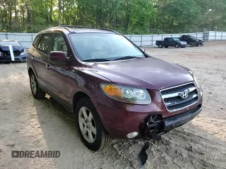 2007 Hyundai Santa Fe SE z VIN 5NMSH13E77H008461, wystawiony jako Copart lot #53722355 z przebiegiem 150 675 mil mil oraz Szkoda całkowita • Salvage title. Historia ofert i sprzedaży dostępna na DreamBid. Obrazek 14.
