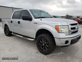 2013 Ford F-150 XL with VIN 1FTEW1CM3DFA47695, listed as a Copart auction lot 47667695 with 164,935 mi miles and Salvage Title. Bid and sale history available at carsss.com. Image 4.