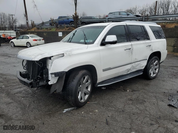 2019 Cadillac Escalade Luxury with VIN 1GYS4BKJ0KR213635, listed as a Copart auction lot 82604024 with 0 mi miles and Salvage Title. Bid and sale history available at carsss.com. Image 1.