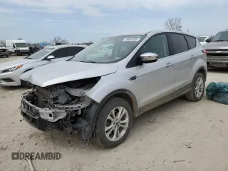 2019 Ford Escape SE with VIN 1FMCU9G91KUC08552, listed as a Copart auction lot 50884505 with 134,644 mi miles and Salvage Title. Bid and sale history available at carsss.com. Image 1.