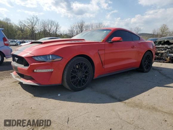 2019 Ford Mustang GT with VIN 1FA6P8CF9K5194625, listed as a Copart auction lot 53891025 with 24,931 mi miles and Salvage title. Bid and sale history available at DreamBid. Image 1.
