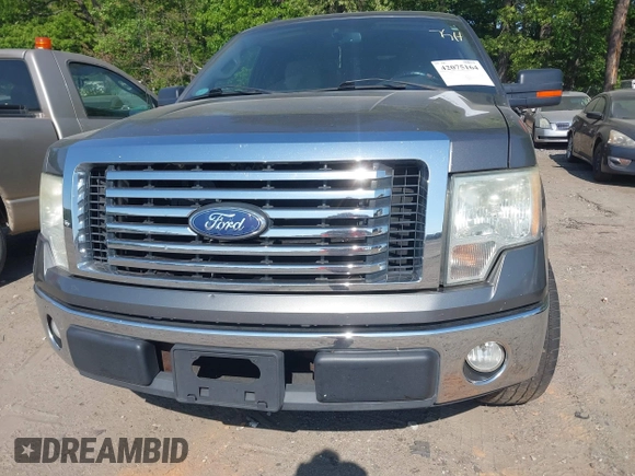 2010 Ford F-150 XL with VIN 1FTEX1C84AFD38671, listed as a IAAI auction lot 42075164 with 196,527 mi miles. Bid and sale history available at carsss.com. Image 12.