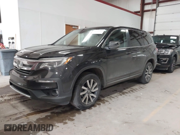 2019 Honda Pilot EX-L with VIN 5FNYF6H5XKB067858, listed as a IAAI auction lot 41643807 with 102,114 mi miles and . Bid and sale history available at carsss.com. Image 2.