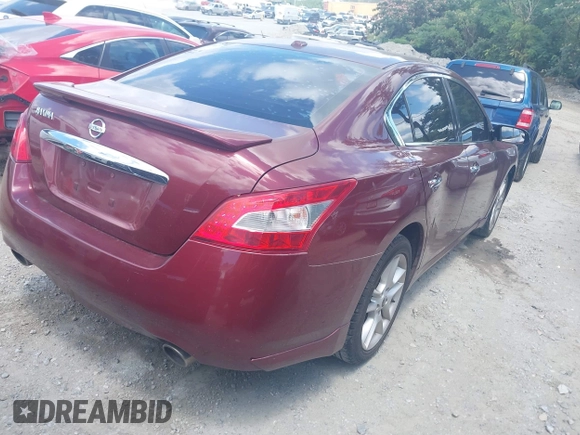 2011 Nissan Maxima S with VIN 1N4AA5AP8BC851559, listed as a IAAI auction lot 42534444 with 222,289 mi miles and . Bid and sale history available at DreamBid. Image 4.