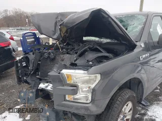 2016 Ford F-150 XL с VIN 1FTEX1C81GFB09051, выставлен на аукционе IAAI как лот 41300134 с пробегом 232 746 миль миль и . История ставок и продаж доступна на DreamBid. Изображение 6.