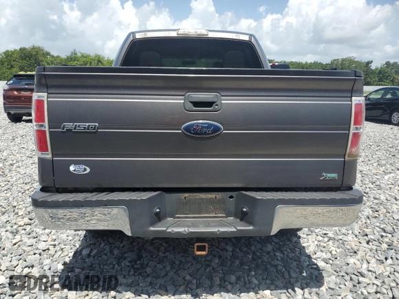 2010 Ford F-150 XL with VIN 1FTFW1EV8AFC53407, listed as a Copart auction lot 60062675 with 164,740 mi miles and Clean title. Bid and sale history available at DreamBid. Image 6.