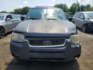 2002 Ford Escape XLT Choice with VIN 1FMYU04132KD84336, listed as a Copart auction lot 66705025 with 198,979 mi miles and Salvage title. Bid and sale history available at DreamBid. Image 5.