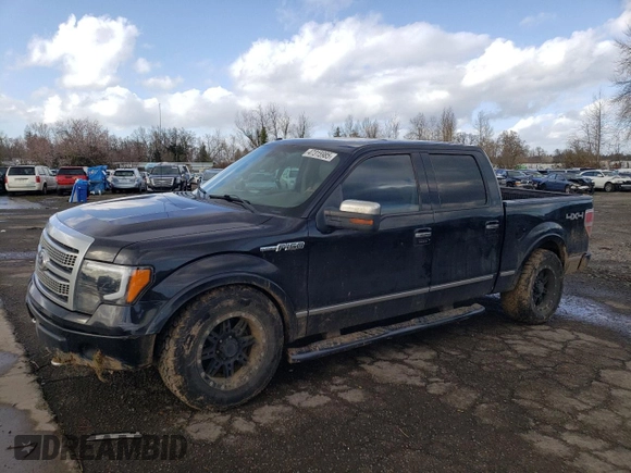 2010 Ford F-150 XL with VIN 1FTFW1EV8AFD18983, listed as a Copart auction lot 47315985 with 212,799 mi miles and Salvage Title. Bid and sale history available at carsss.com. Image 1.