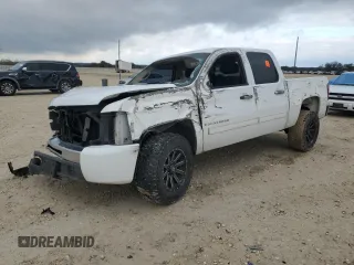 2009 Chevrolet Silverado 1500 LT with VIN 2GCEC23C191139697, listed as a Copart auction lot 88074455 with 243,119 mi miles and Salvage Title. Bid and sale history available at carsss.com. Image 1.