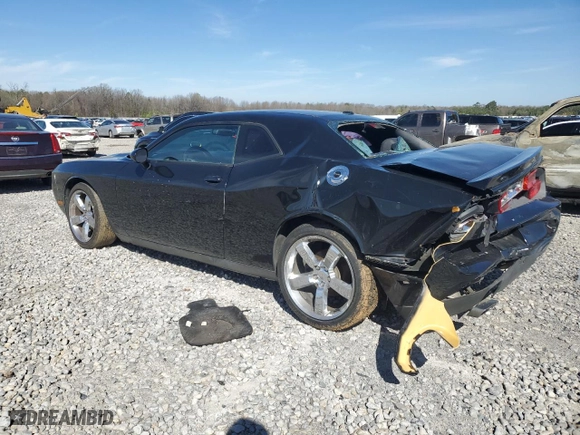 2013 Dodge Challenger SXT with VIN 2C3CDYAG9DH619925, listed as a Copart auction lot 49042595 with 237,638 mi miles and Salvage Title. Bid and sale history available at carsss.com. Image 2.