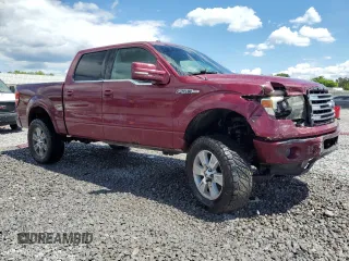 2013 Ford F-150 XL with VIN 1FTFW1EF8DKE14522, listed as a Copart auction lot 55725975 with 317,578 mi miles and Salvage title. Bid and sale history available at DreamBid. Image 4.