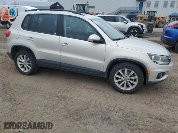 2013 Volkswagen Tiguan S with VIN WVGJV3AX0DW561431, listed as a Copart auction lot 55918795 with 246,907 mi miles and Salvage title. Bid and sale history available at DreamBid. Image 4.