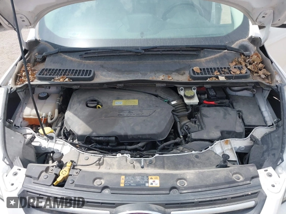 2014 Ford Escape SE with VIN 1FMCU9GX9EUB15944, listed as a IAAI auction lot 42110269 with 120,297 mi miles and . Bid and sale history available at DreamBid. Image 10.