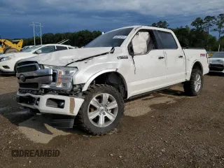 2019 Ford F-150 XL with VIN 1FTEW1E47KFD09339, listed as a Copart auction lot 55217015 with 74,539 mi miles and Salvage title. Bid and sale history available at DreamBid. Image 1.