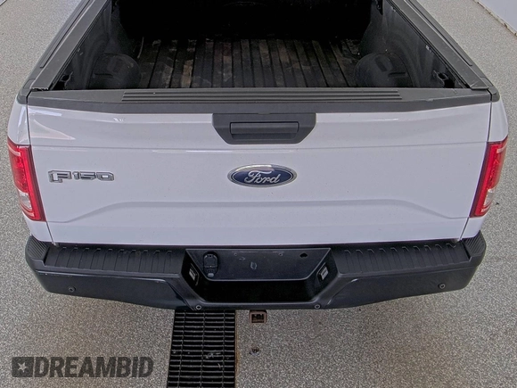 2015 Ford F-150 XLT with VIN 1FTEX1EP3FKD31763, listed as a IAAI auction lot 42796150 with 168,362 mi miles and . Bid and sale history available at DreamBid. Image 30.