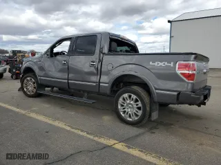 2013 Ford F-150 XLT with VIN 1FTFW1E65DFB47204, listed as a Copart auction lot 49787925 with 133,627 mi miles and Salvage Title. Bid and sale history available at carsss.com. Image 2.