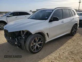 2019 BMW X5 xDrive40i with VIN 5UXCR6C51KLL09358, listed as a Copart auction lot 48351585 with 98,380 mi miles and Salvage Title. Bid and sale history available at carsss.com. Image 1.