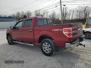 2013 Ford F-150 XL with VIN 1FTFW1EF5DFA72956, listed as a Copart auction lot 49891245 with 142,672 mi miles and Salvage Title. Bid and sale history available at DreamBid. Image 2.