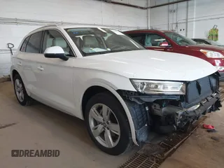 2019 Audi Q5 Premium z VIN WA1ANAFY3K2131756, wystawiony jako IAAI lot #42042739 z przebiegiem 76 332 mil mil oraz . Historia ofert i sprzedaży dostępna na DreamBid. Obrazek 1.