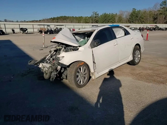 2010 Toyota Corolla with VIN 2T1BU4EE8AC316486, listed as a Copart auction lot 48129755 with Not Provided miles and Clean Title. Bid and sale history available at DreamBid. Image 11.