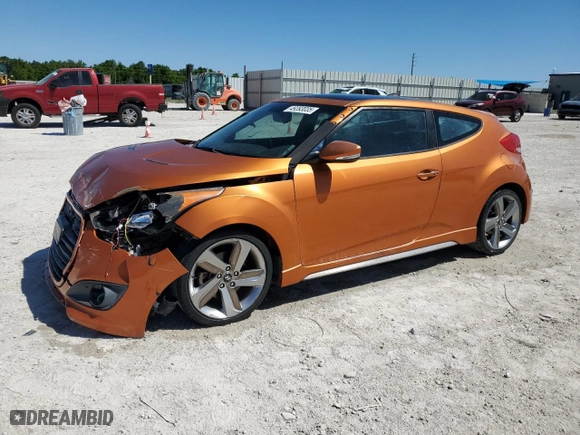 2013 Hyundai Veloster Turbo w/Black Int with VIN KMHTC6AE8DU166472, listed as a Copart auction lot 49393035 with 133,096 mi miles and Salvage Title. Bid and sale history available at carsss.com. Image 1.