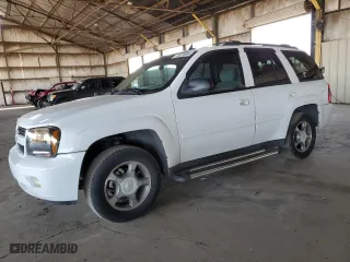 2009 Chevrolet TrailBlazer LT w/1LT with VIN 1GNDS33S492102310, listed as a Copart auction lot 73571844 with 229,768 mi miles and Salvage Title. Bid and sale history available at carsss.com. Image 1.