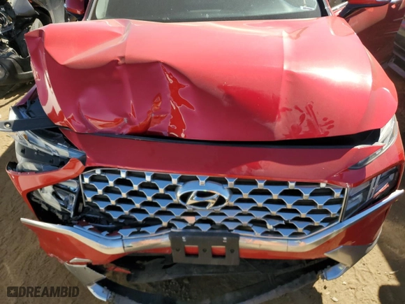 2021 Hyundai Santa Fe SEL with VIN 5NMS6DAJ7MH321903, listed as a Copart auction lot 43442425 with 51,181 mi miles and Salvage Title. Bid and sale history available at carsss.com. Image 12.