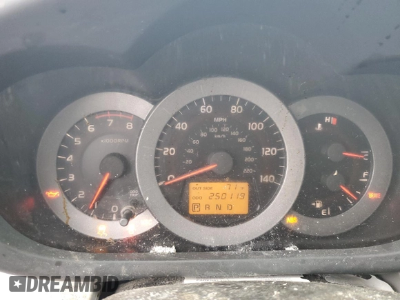 2006 Toyota RAV4 with VIN JTMZD33V166018906, listed as a Copart auction lot 51233915 with 250,119 mi miles and Clean Title. Bid and sale history available at carsss.com. Image 9.