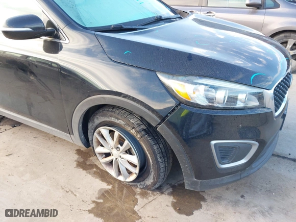 2017 Kia Sorento LX V6 with VIN 5XYPG4A53HG199627, listed as a IAAI auction lot 41199694 with 90,155 mi miles. Bid and sale history available at carsss.com. Image 6.