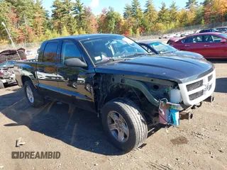 2011 Ram Dakota Bighorn/Lonestar with VIN 1D7RW3GK1BS606466, listed as a IAAI auction lot 40529380 with 110,431 mi miles. Bid and sale history available at carsss.com. Image 1.