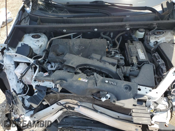 2019 Toyota RAV4 LE with VIN JTMH1RFV6KJ010214, listed as a Copart auction lot 54684325 with 0 mi miles and Clean Title. Bid and sale history available at carsss.com. Image 11.