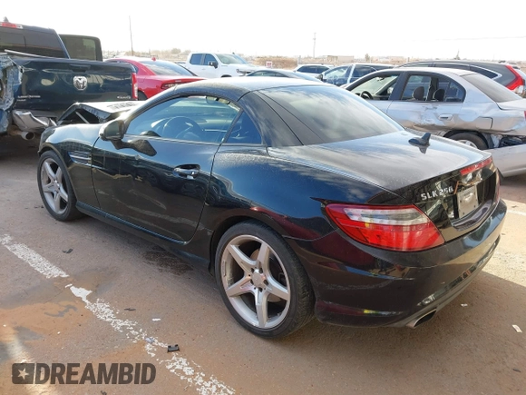 2013 Mercedes-Benz SLK 250 with VIN WDDPK4HA2DF072534, listed as a IAAI auction lot 41749467 with Not provided miles and . Bid and sale history available at DreamBid. Image 3.