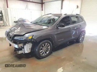 2019 Jeep Cherokee Latitude Plus with VIN 1C4PJLLB2KD393229, listed as a Copart auction lot 57811354 with 132,766 mi miles and Clean Title. Bid and sale history available at carsss.com. Image 1.