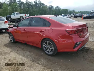 2019 Kia Forte S z VIN 3KPF34AD9KE049752, wystawiony jako Copart lot #51481345 z przebiegiem 104 508 mil mil oraz Szkoda całkowita • Salvage title. Historia ofert i sprzedaży dostępna na DreamBid. Obrazek 2.