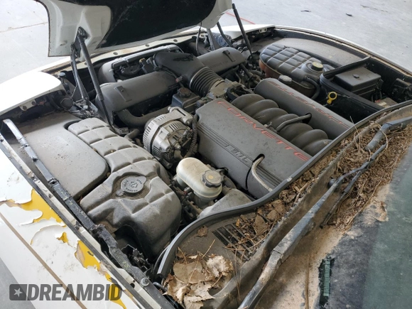 2000 Chevrolet Corvette with VIN 1G1YY32G1Y5124258, listed as a Copart auction lot 52782565 with 82,423 mi miles and Salvage Title. Bid and sale history available at carsss.com. Image 11.