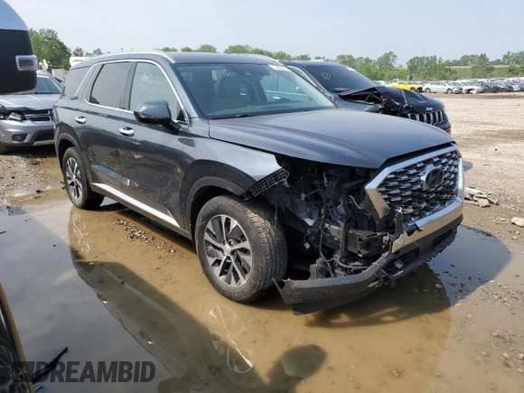 2020 Hyundai Palisade SEL with VIN KM8R2DHE0LU069644, listed as a Copart auction lot 59592405 with 78,198 mi miles and Salvage title. Bid and sale history available at DreamBid. Image 4.