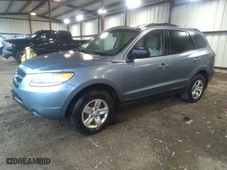 2009 Hyundai Santa Fe GLS with VIN 5NMSG13D89H247806, listed as a IAAI auction lot 40909738 with 169,151 mi miles. Bid and sale history available at carsss.com. Image 2.