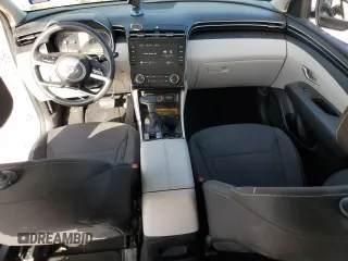 2024 Hyundai Tucson SE with VIN 5NMJA3DE6RH314872, listed as a Copart auction lot 48855535 with 38,760 mi miles and Salvage Title. Bid and sale history available at DreamBid. Image 8.