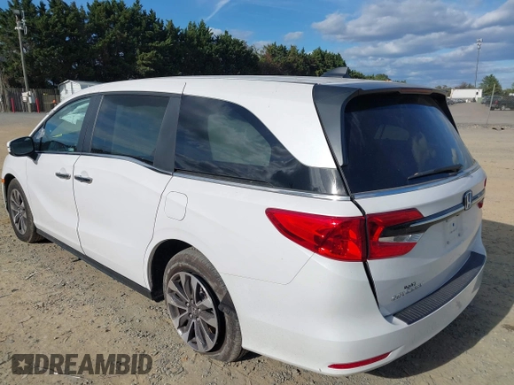 2024 Honda Odyssey EX-L with VIN 5FNRL6H65RB007535, listed as a IAAI auction lot 40602982 with 6,097 mi miles and . Bid and sale history available at DreamBid. Image 3.